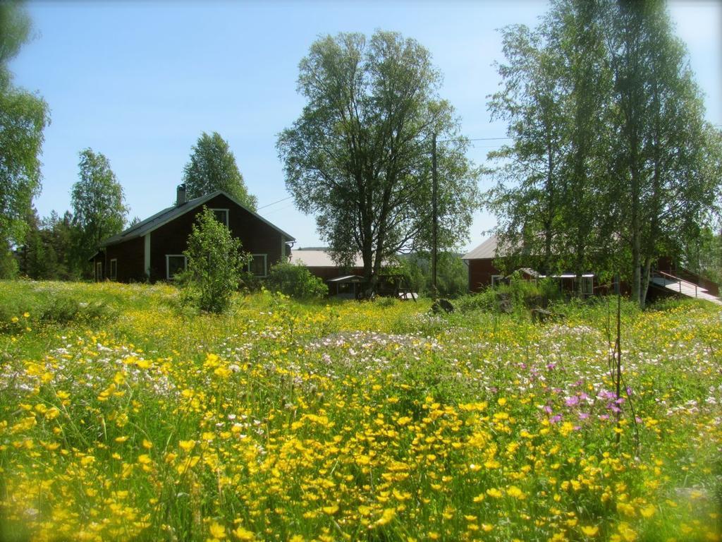 Гостьовий будинок Ellis Garden Vemhan Екстер'єр фото